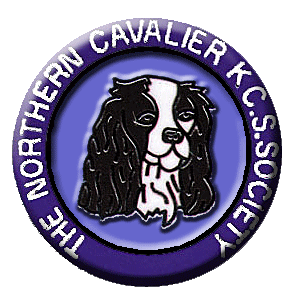 Northern Cavalier King Charles Spaniel 