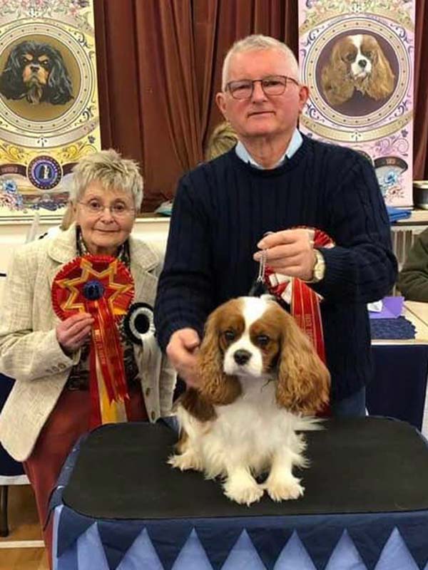 Best In Show - Open Show - January 2023