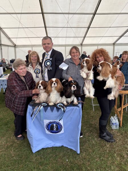 Dog Winners