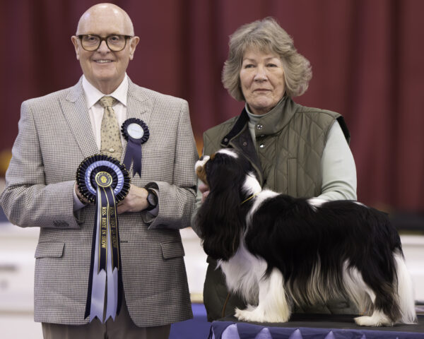 Reserve Best In Show