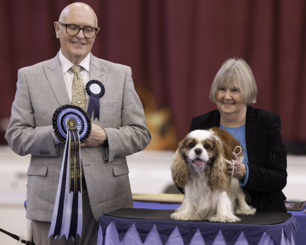 Best Vintage In Show