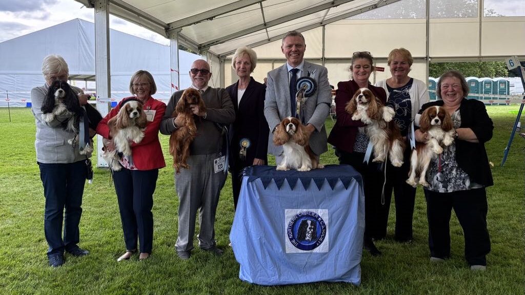 Best In Show winners - 2024 Championship Show