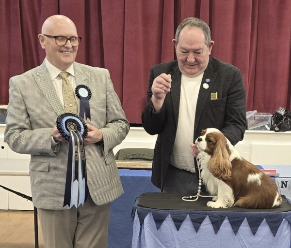 Best Opposite Sex and Best Bitch