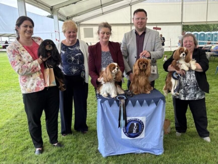 Dog winners - 2024 Championship Show